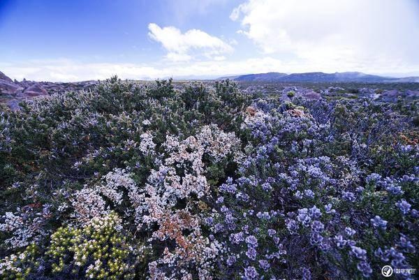 气温回升中!陕西最新发布:春节期间气候预测